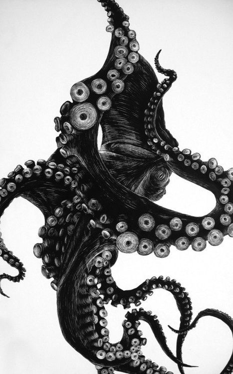 An octopus moving through black water